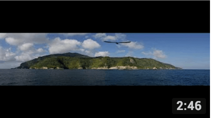 38 Aniversario del Parque Nacional Isla del Coco