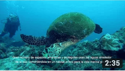 FAICO - Inspirando la conservación marina - 2018