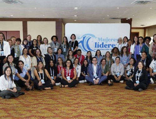 Nace la Red de Mujeres Líderes en Protección Marina del Pacífico Este Tropical, Perú y México