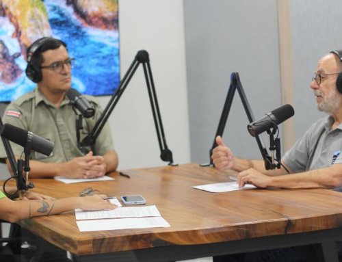 Podcast: Descubrí las maravillas submarinas de la Isla del Coco con el Dr. Jorge Cortés