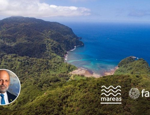 Columna Mareas: 60 millones de hectáreas