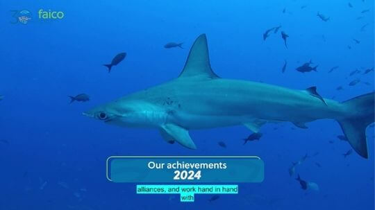 Logros de Faico 2024