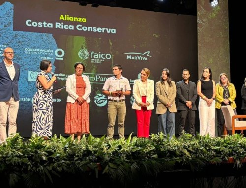 Unidas por la conservación de la biodiversidad: Organizaciones ambientales lanzan la alianza  “Costa Rica Conserva”