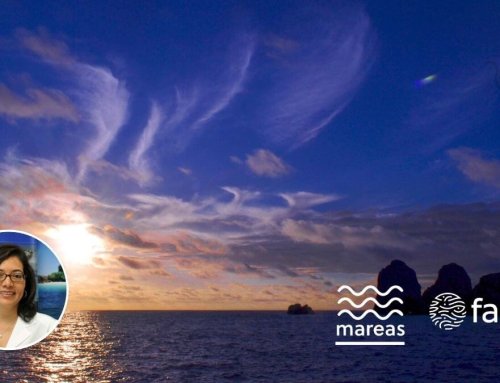 Columna Mareas: Biodiversidad y gestión del Pacífico Este Tropical