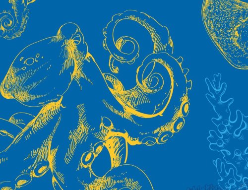 Informe de labores 2025