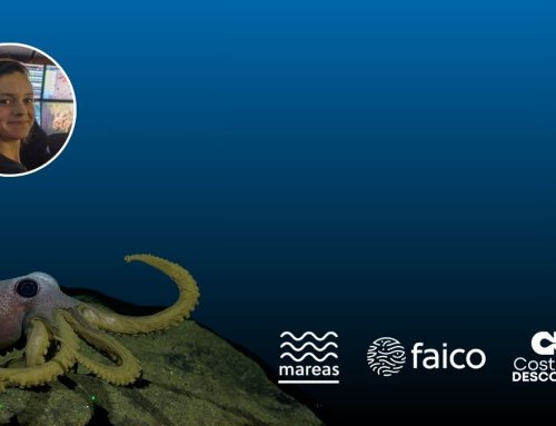 Columna Mareas: La Costa Rica desconocida