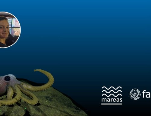 Columna Mareas: La Costa Rica desconocida