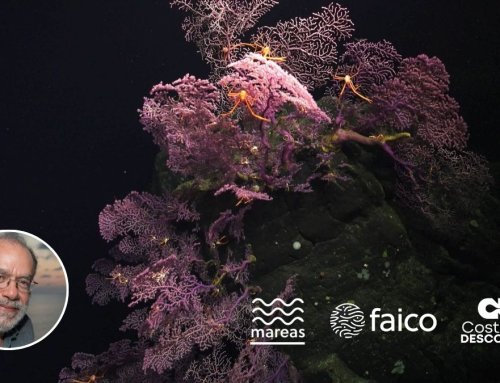 Columna Mareas: Historia de la investigación del mar profundo en Costa Rica