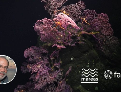 Columna Mareas: Historia de la investigación del mar profundo en Costa Rica