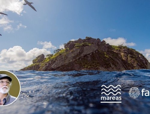 Columna Mareas: La pampa submarina, un primer esfuerzo por darle nombre a todos los accidentes batimétricos de la zona económica exclusiva de Costa Rica