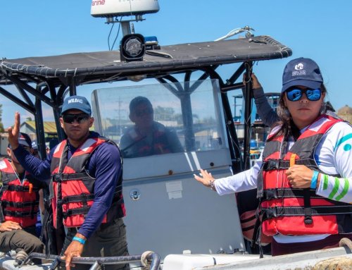 Personal vinculado con la aplicación de la legislación marina fortalece capacidades de operación de embarcaciones en Costa Rica