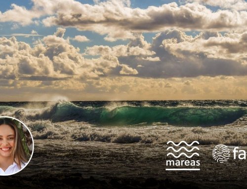 Junio, mes del océano: celebrar aquello que sostiene la vida – Columna Mareas