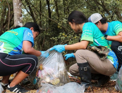 Más de una tonelada de residuos sólidos recolectada en tres islas del Golfo de Nicoya