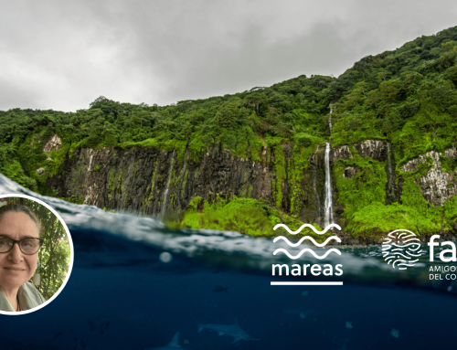 Parque Nacional Isla del Coco: El parque nacional más grande de Costa Rica es marino